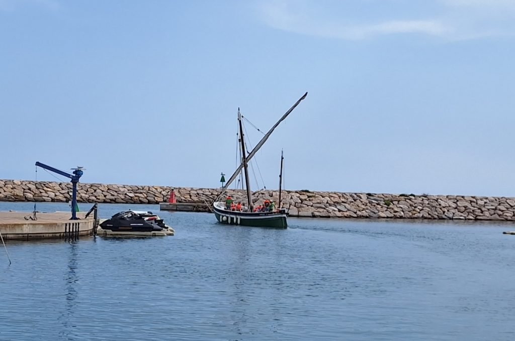 Sortides a navegar amb ciutadans a bord de la Francisca